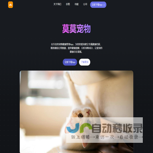 莫莫宠物